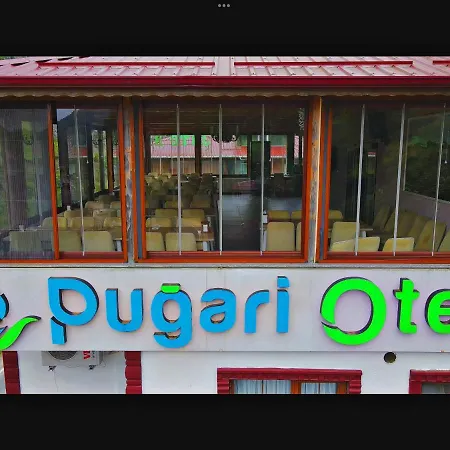 Pugari *